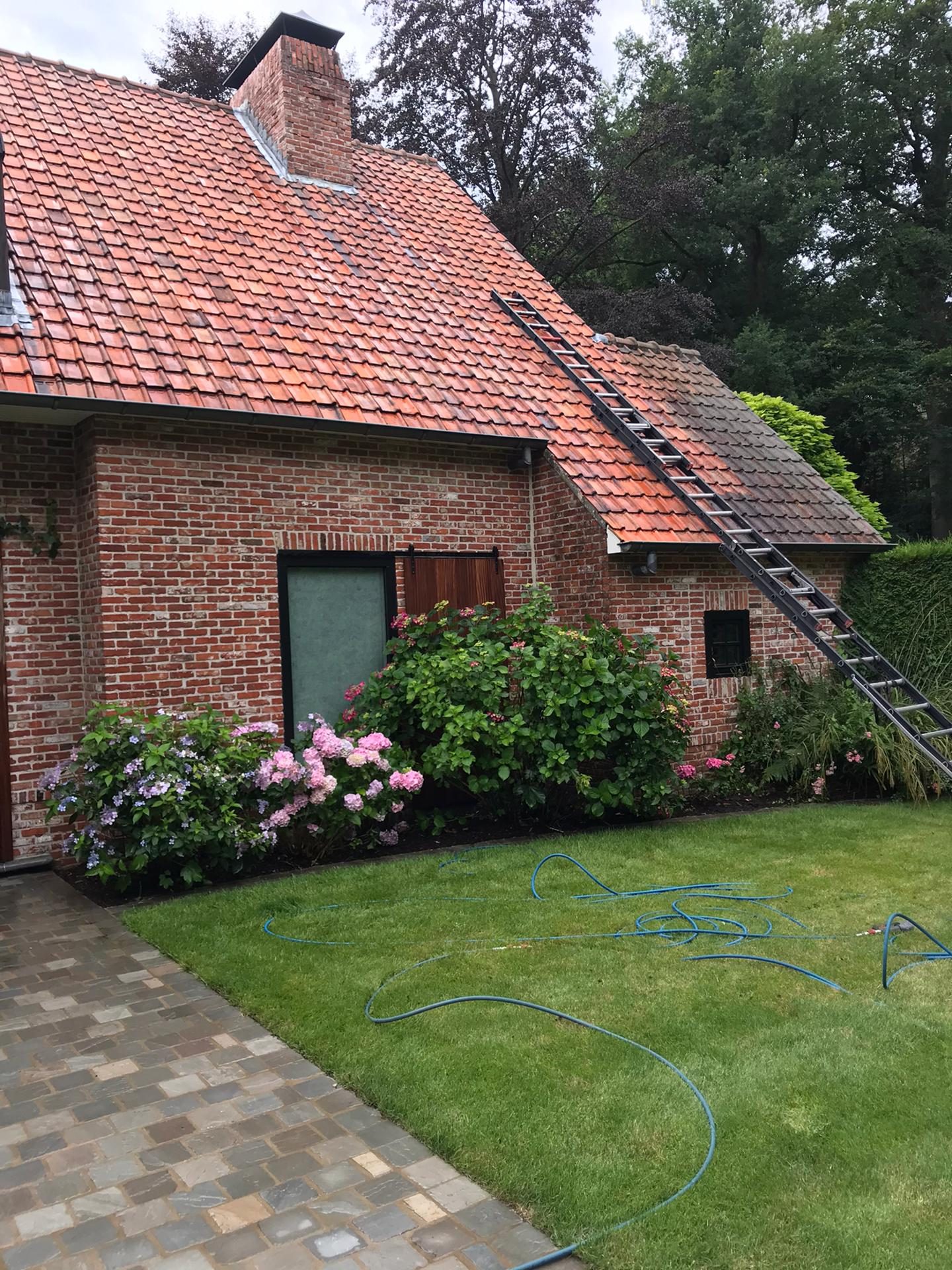 Dak ontmossen & reinigen realisatie 8